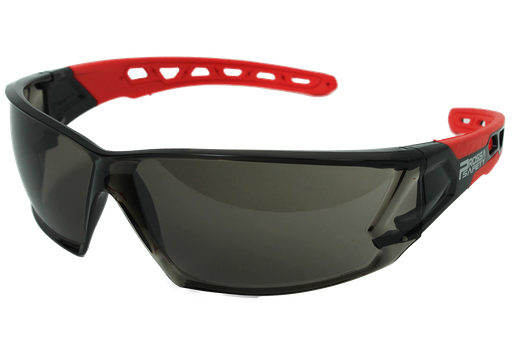 TE-905 Lunettes de protection